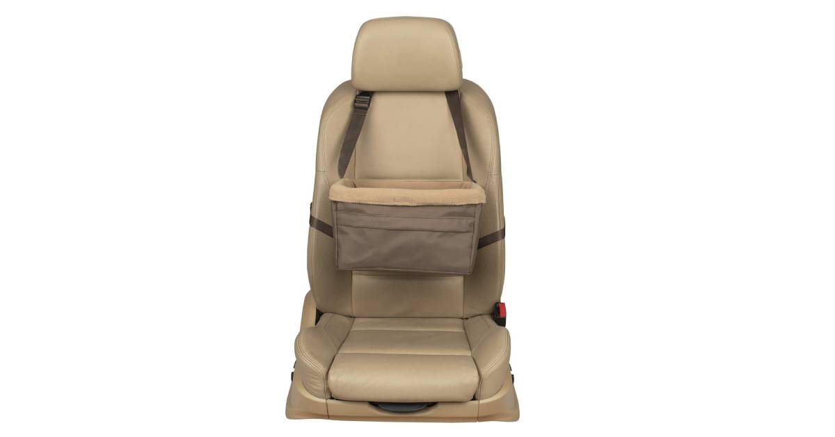 Best Small Dog Booster Car Seat
